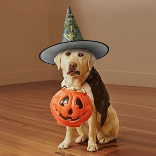 Witch Hats Halloween Costume Cone Wizard Hat