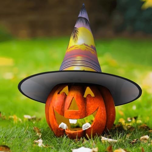 Witch Hats Halloween Cone Wizard Hat Tropical Beach