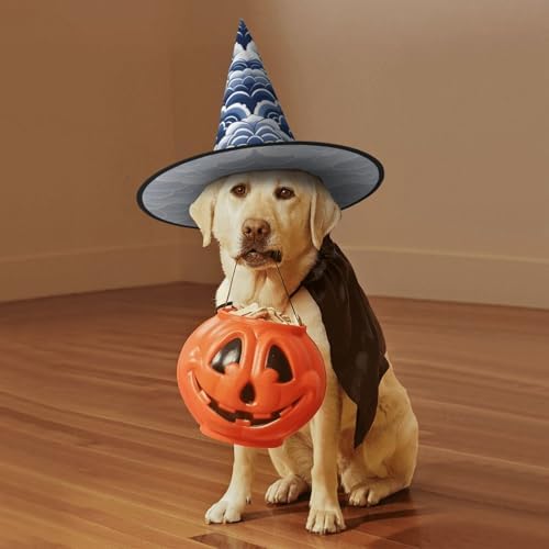 Witch Hats Halloween Cone Wizard Hat Blue White Costume Cosplay
