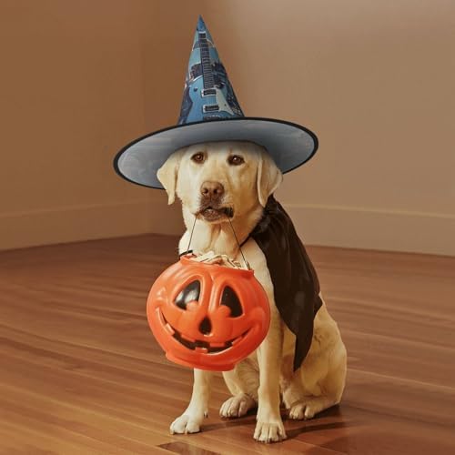 Witch Hats Halloween Music Instrument Guitar Costume Headwear