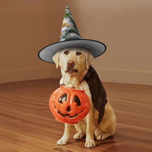 Witch Hats Halloween Costume Cosplay Wizard Hat 1
