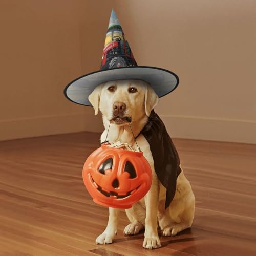 Witch Hats Halloween Cone Wizard Tractor Costume Hats