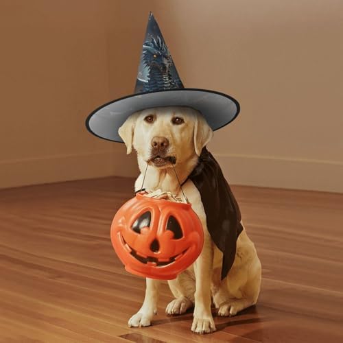 Cool Dragon Witch Halloween Cone Wizard Hat for Adults