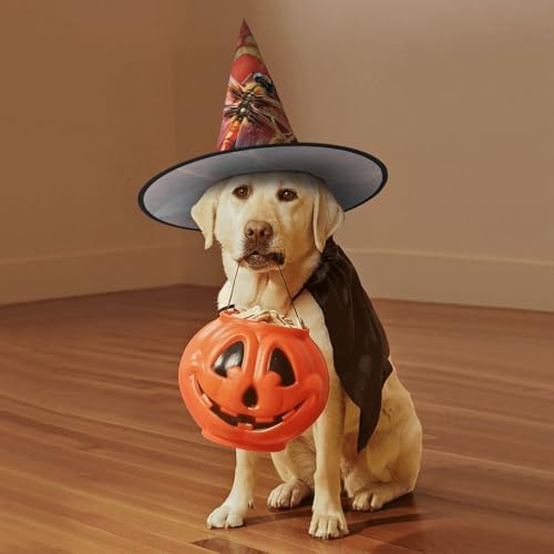 Red Dragonfly Witch Halloween Costume Hat for Adults