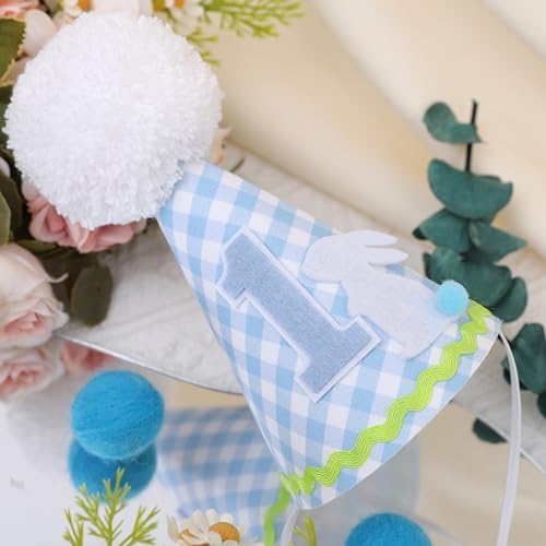 Petter Rabbit 1st Birthday Hat for Boys