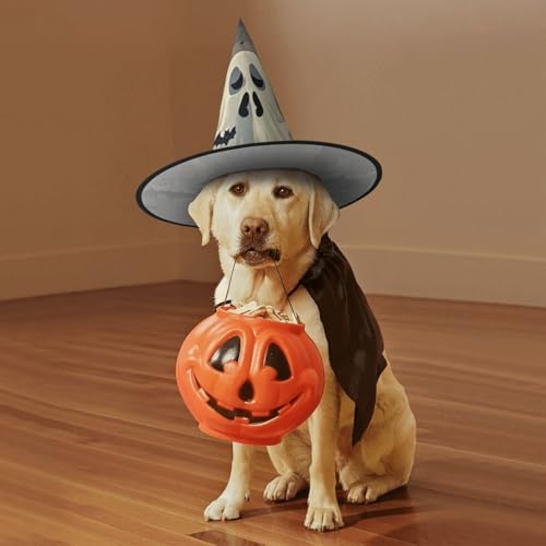 Witch Hats Halloween Cone Wizard Hat Ghost Bat Pattern