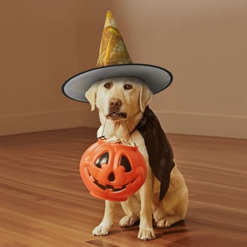 Potato Chips Witch Halloween Cone Hat Costume