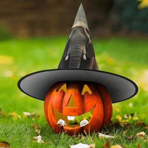Witch Hats Halloween Cone Wizard Elephant Bridge Costume Hat