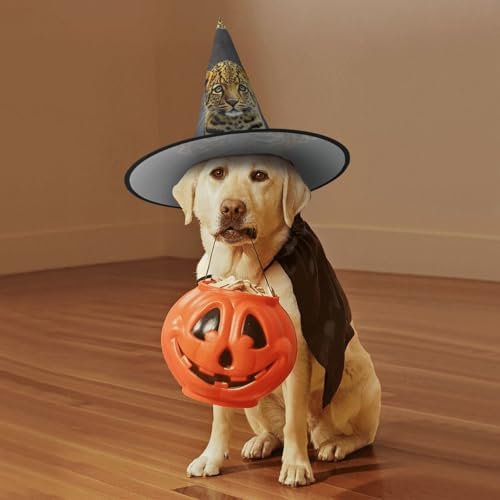 Cute Leopard Witch Halloween Cone Hat Costume