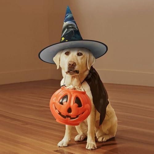 Witch Hats Halloween Cone Wizard Hat with Dolphin and Fish