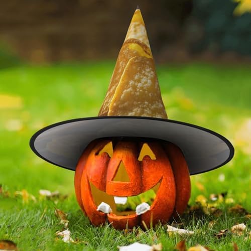 Potato Chips Witch Halloween Cone Hat Costume