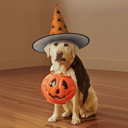 Witch Hats Halloween Cone Wizard Hat Black Spider Pattern Costume