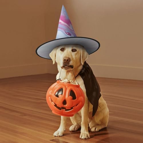 Blue Marble Witch Halloween Cone Hat Costume