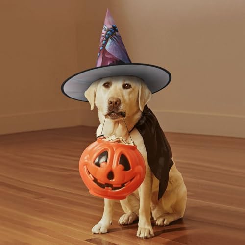Witch Hats Halloween Cone Wizard Hat Flower and Blue Dragonfly Costume