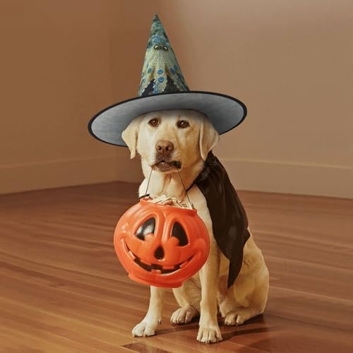 Blue Ringed Octopus Witch Hat Halloween Costume