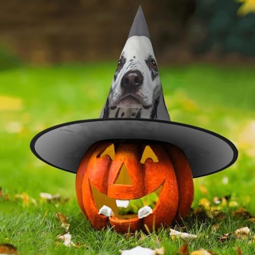 Witch Hats Halloween Cone Wizard Hat Dalmatian Costume