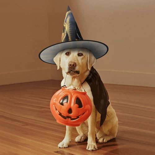 Witch Hat Halloween Costume Cosplay Wizard Elephant Headwear