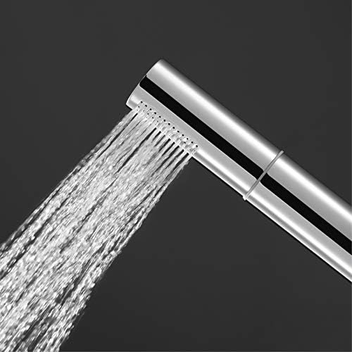 Handheld Shower Head Set with Hose and Holder 2 Functions Chrome Brass