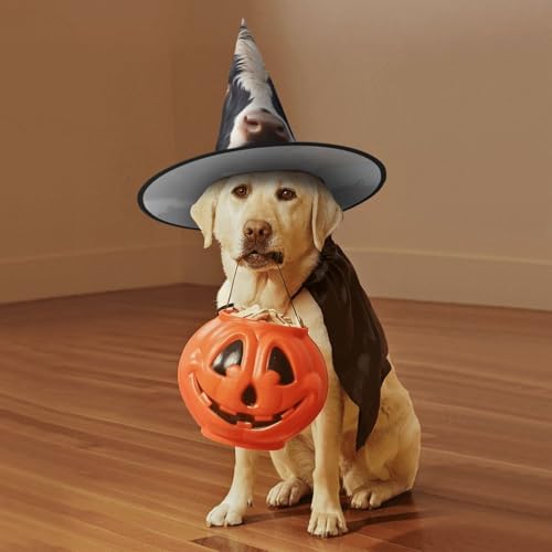 Cute Cow Witch Hat Costume Accessory for Halloween