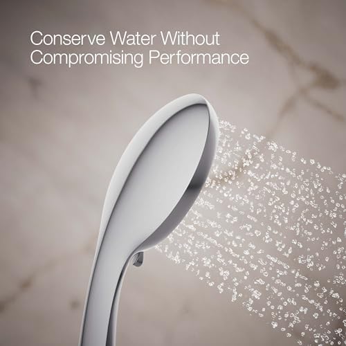 Kohler Awaken B110 Handheld Showerhead
