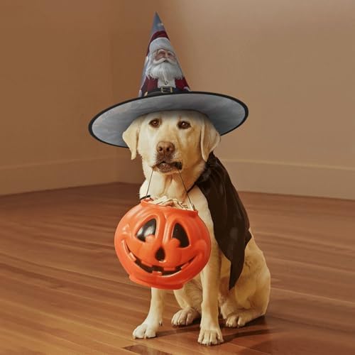 Witch Hats Halloween Cone Wizard Costume Hats for Adults