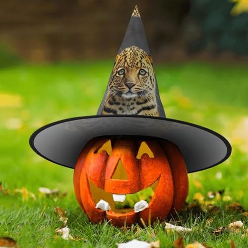 Cute Leopard Witch Halloween Cone Hat Costume