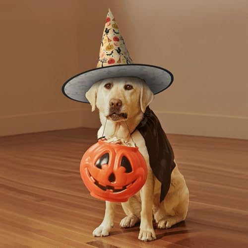 Witch Hats Halloween Costume Cosplay Wizard Hats