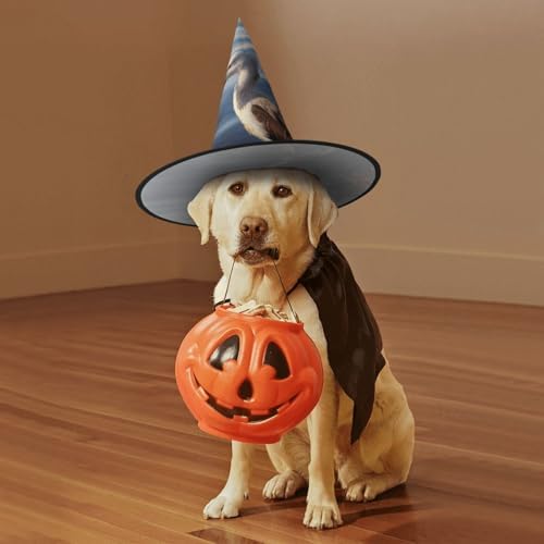 Witch Hats Halloween Cone Wizard Costume Headwear