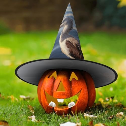 Witch Hats Halloween Cone Wizard Costume Headwear