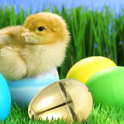 10pcs Bright Plastic Fillable Easter Ornaments