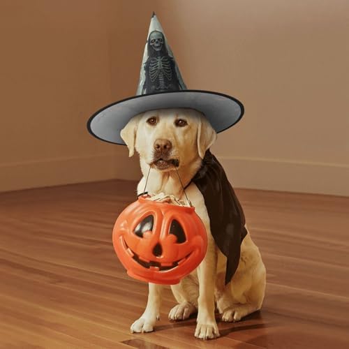 Witch Hats Halloween Cone Wizard Hat Bat Skull Pattern