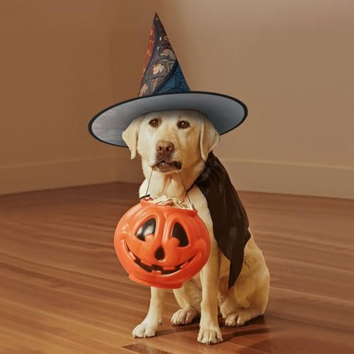Witch Hats Halloween Cone Wizard Hat with Spiral Pattern