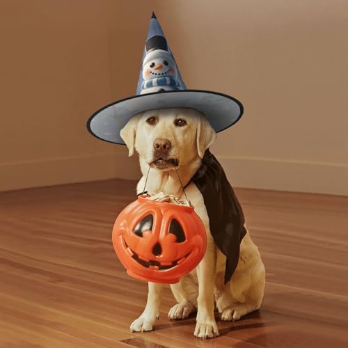 Witch Hats Halloween Costume Cosplay Headwear