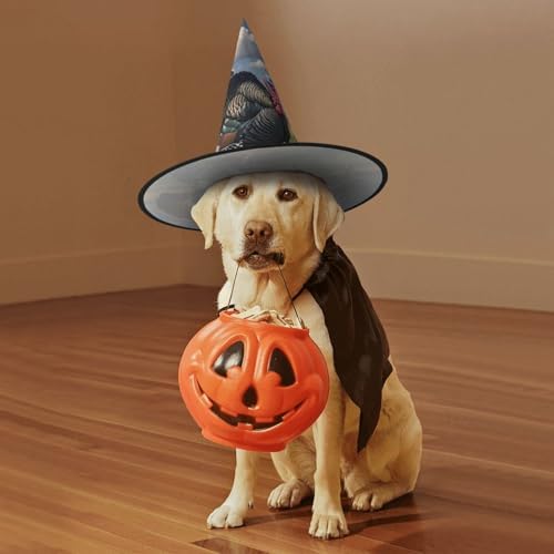 Witch Hats for Halloween and Christmas Costumes