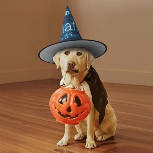 3D Math Witch Halloween Cone Hat for Adults