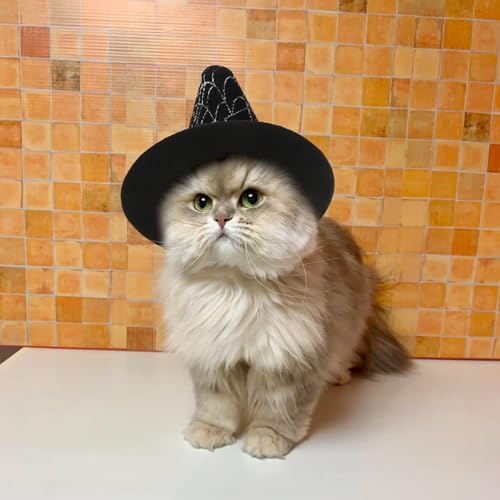LOGOFUN Halloween Witch Hat Mini Pet Costume Hat