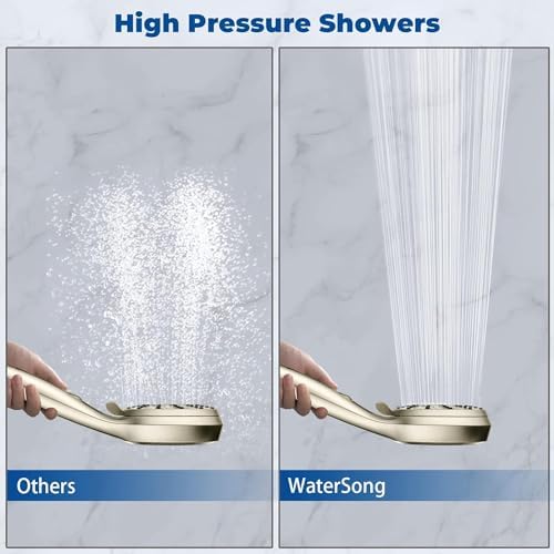 WaterSong Shower Head with Handheld 6-Setting Combo
