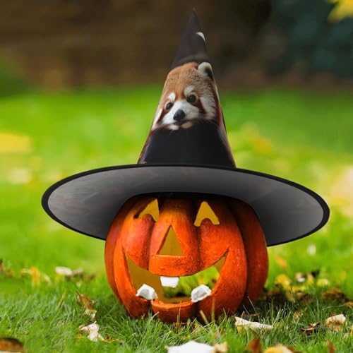 Red Pandas Witch Halloween Cone Hat Costume