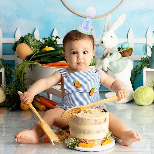 Petter Rabbit 1st Birthday Hat for Boys