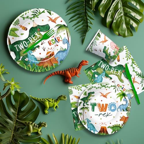 Dinosaur 2nd Birthday Decorations for 24 Guests