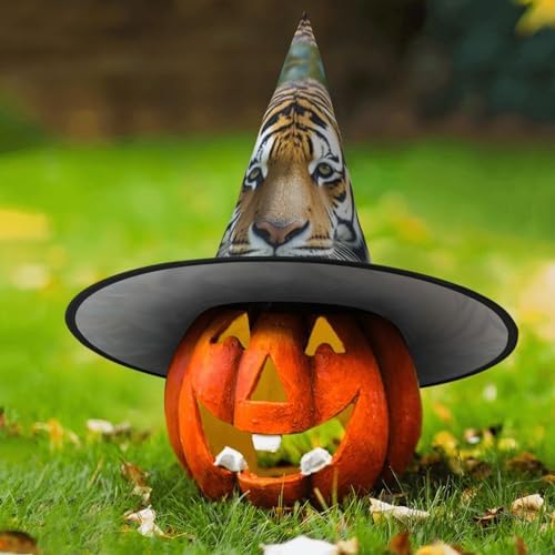 Witch Hats Halloween Costume Cone Wizard Hat for Adults 1