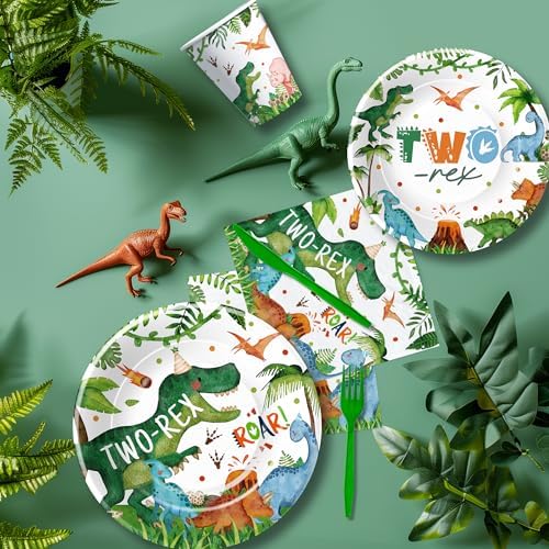 Dinosaur 2nd Birthday Decorations for 24 Guests