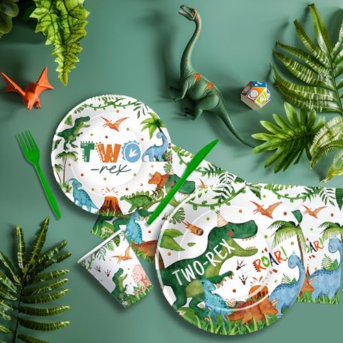 Dinosaur 2nd Birthday Decorations for 24 Guests