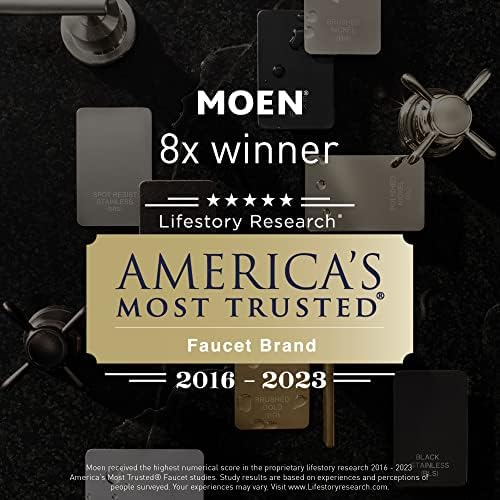 Moen 209H0 Ignite Handheld Shower in Chrome