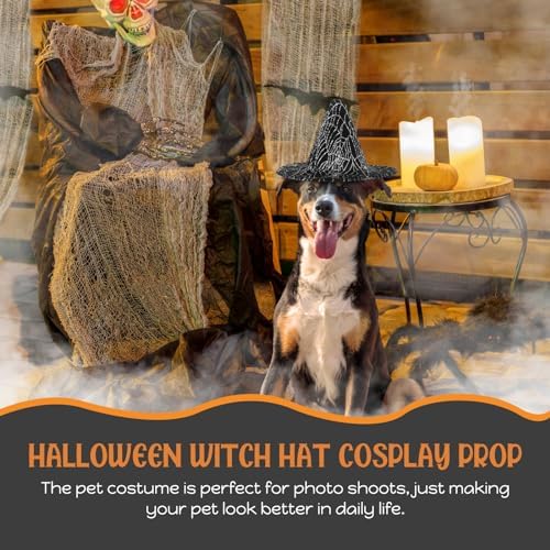 LOGOFUN Halloween Witch Hat Mini Pet Costume Hat