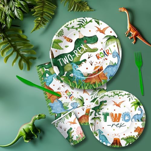 Dinosaur 2nd Birthday Decorations for 24 Guests
