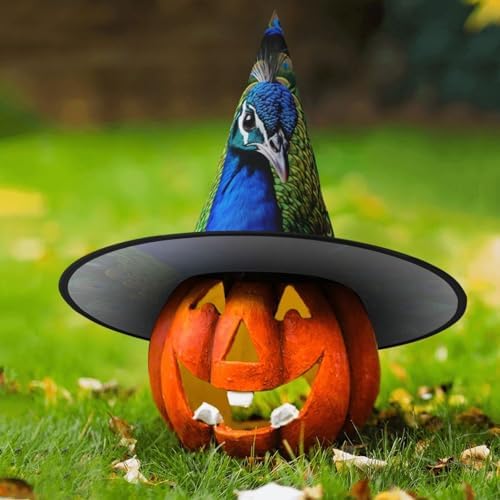 Blue Peacock Witch Hat Halloween Costume Headwear